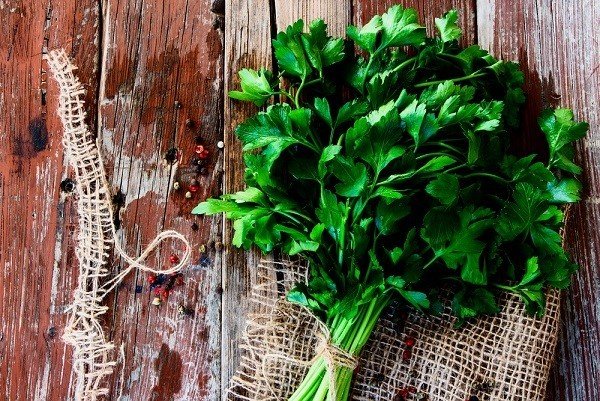 Yeşil Mucize Maydanozun 10 Önemli Faydası