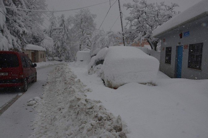 Burası Erzurum Değil Trabzon