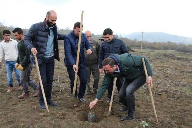 Ytso’dan Ağaçlandırmaya Destek