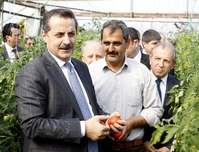 Bakan Çelik’ten Et Fiyatları Ve Cerattepe Açıklaması