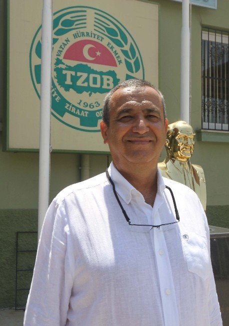 “Beyaz Altın”ın Ekim Alanları Daraldı, İthalatı Arttı