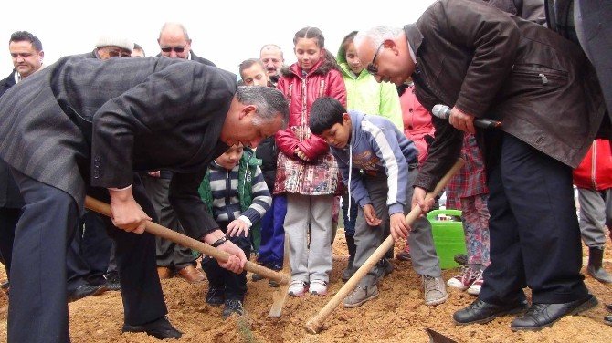 Silifke’de Öğrenciler Fidan Dikti