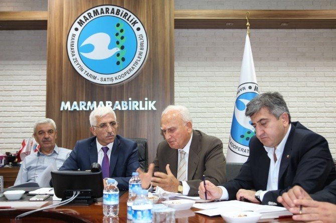 Zeytinciler Dernek Kuruyor