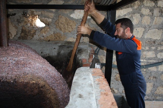 Doğanın İksiri Zeytin Sütü