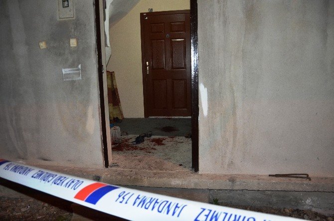 Kadınların İnek Kavgası Kanlı Bitti
