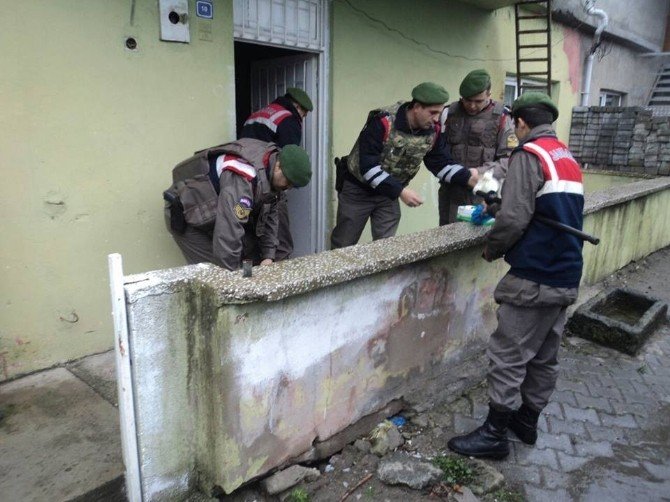Zonguldak’da Uyuştucu Operasyonu