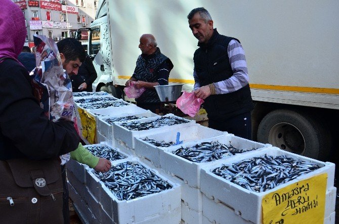 Balıkçılardan ‘Bayat Balık’ Tepkisi