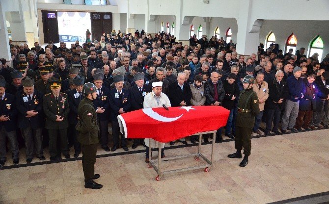 Bir Çuval Kömür Uğruna Hayatını Kaybetti