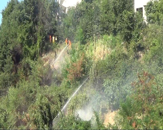 Zonguldak’ta Çıkan Yangın Korkuttu