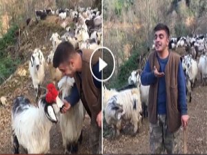 Rizeli Çobandan Muhteşem Karadeniz Türküsü