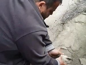 Köpeği Kalp Masajı ve Suni Teneffüs ile Hayata Döndürdü