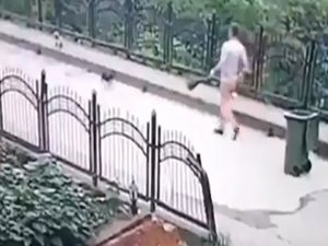 Rize’de yavru köpeği dereye atan temizlik işçisi güvenlik kamerasına takıldı