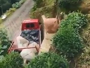 Rizeli’nin Topladığı Çayı Kamyona Yüklemek İçin Bulduğu Yöntem Güldürdü