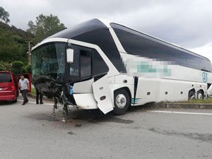 Rize Yolcu Otobüsü Kaza Yaptı 2 Yaralı VİDEO