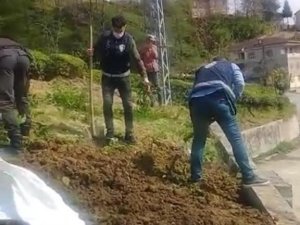Rize’de Polis Memurları Vatandaşın Tarlasını Sürdü