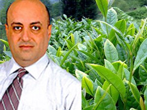 Rize'de Çay Yasak Kararına Tıbbi Destek Arayışı