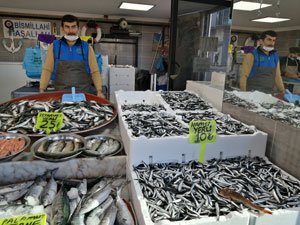 Bu Hamsinin ‘Doğum Yeri Rize’