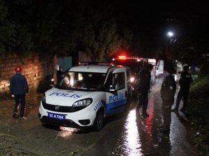 Rize’de 2 araç kökünden kopan ağacın altında kaldı