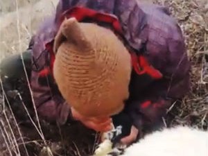 Rize’de Bir Çobanın Yeni Doğan Kuzuyu Yaşatma Çabaları Böyle Görüntülendi