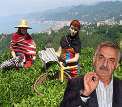 Çaykur Özelleştirilmeyecek