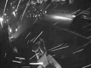 Keçi Sürüsünü Fark Etmedi Hayvanların Arasına Daldı