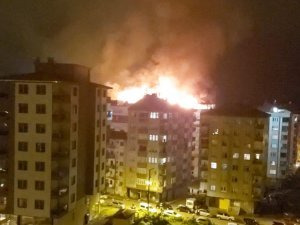 Rize’de Korkutan Yangın! Alevler Geceyi Aydınlattı