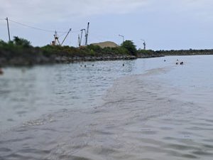 Rize’de Deniz Yüzme Alanları Mikrop Yuvasına Döndü