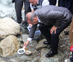 Erdoğan Fırtına Deresine Balık Bıraktı