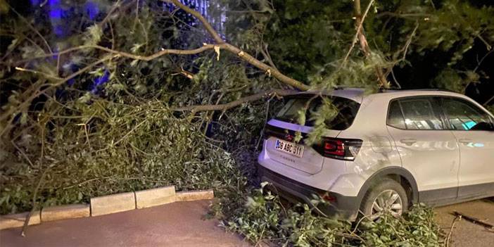 Artvin’de fırtına çatıları uçurdu, ağaçlar devrildi