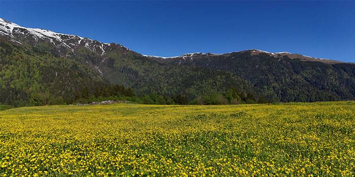 Rize Kaçkarların doğa harikası yaylaları