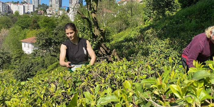 Çay bahçesinden çıkıp, Avrupa şampiyonu oldu