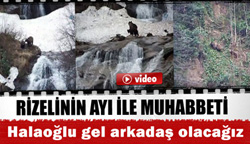 Rizeli'nin Ayılarla Muhabbeti: Halaoğlu Gel Arkadaş Olacağız
