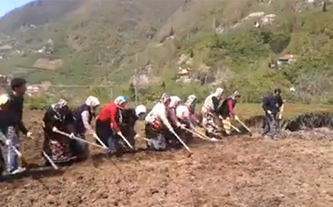 Böyle olur Karadeniz'in senfoni orkestrası