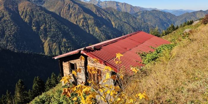 Rize'nin yaylalarında sonbahar renkleri hakim oldu