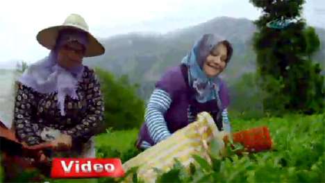 Türkiye Bu Klibi Konuşuyor!