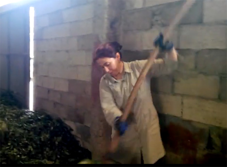 Ağlarsa Anam Ağlar Bi de Rizeli Ağlar