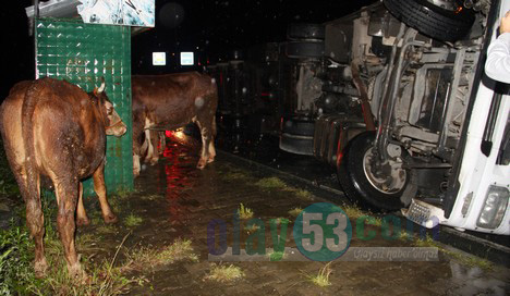 Rize'de Tır Kazası 1 Ağır Yaralı, 23 Kurban Yola Saçıldı