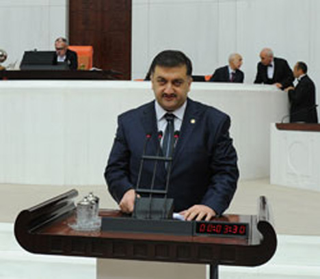 Hasan Karal, Ak Parti Adına Mecliste Konuştu