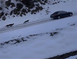 Petlas Rize'de Reklam Filmi Çekti