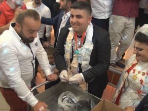 Rizeli Damadın Zor Anları