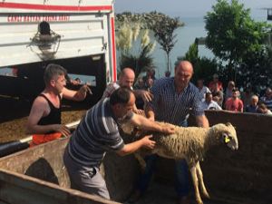 Sedat Peker, Rize’ye 3 Tır Dolusu Kurban Gönderdi