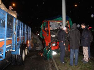 Rize'de Çay Yüklü Kamyon Direğe Çarptı 1 Yaralı