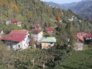 Köylüler diken üstünde